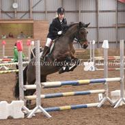 Connemara Baunely´s Camille