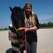 Anden særlig race Blackie