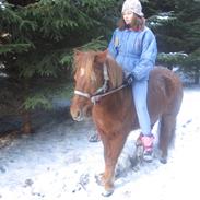 Anden særlig race Molly (SOLGT) <3