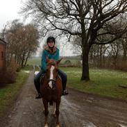 DSP Fruetoftens Lucky