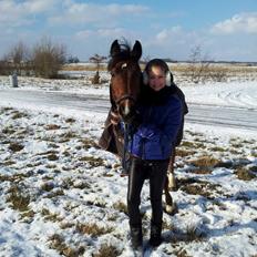 Tysk Sportspony P-TIM