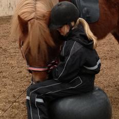 Islænder Lökka fra Bukkeis