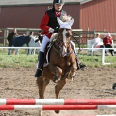 Anden særlig race Deluxe