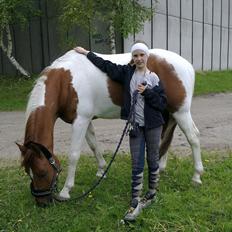 Anden særlig race Kenny