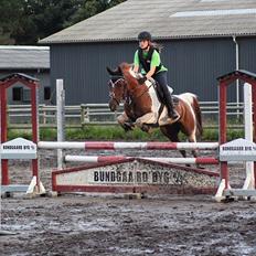 Anden særlig race Kenny