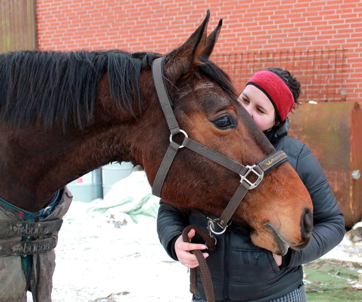 Anden særlig race Desherri billede 5