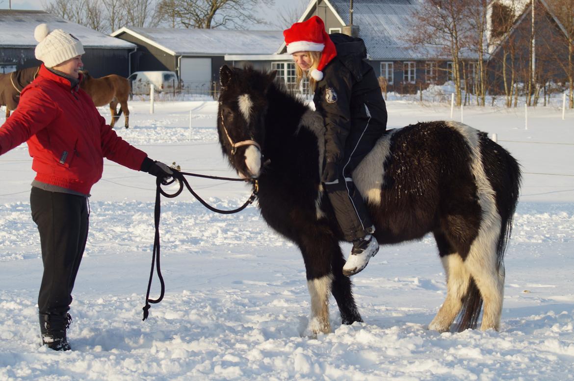 Islænder Hafnir, hesten uden pandelok :P - Min aller første tur på Hafiii, glæder mig til jeg skal tilride dig!<3 billede 4