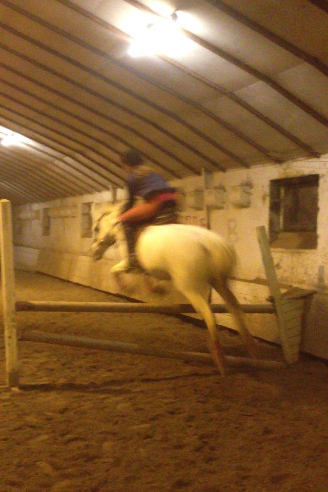 Anden særlig race Duet- min stjerne<3 - Spring 2013- Ca LB2 stjernet billede 16