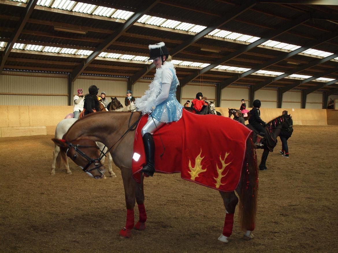 Anden særlig race Charlatan <3 - Lige et billede mere fra fastelavn 2013 ;) billede 15