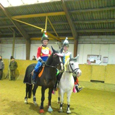 Welsh Pony af Cob-type (sec C) Gribsvads Leading Bruni billede 17