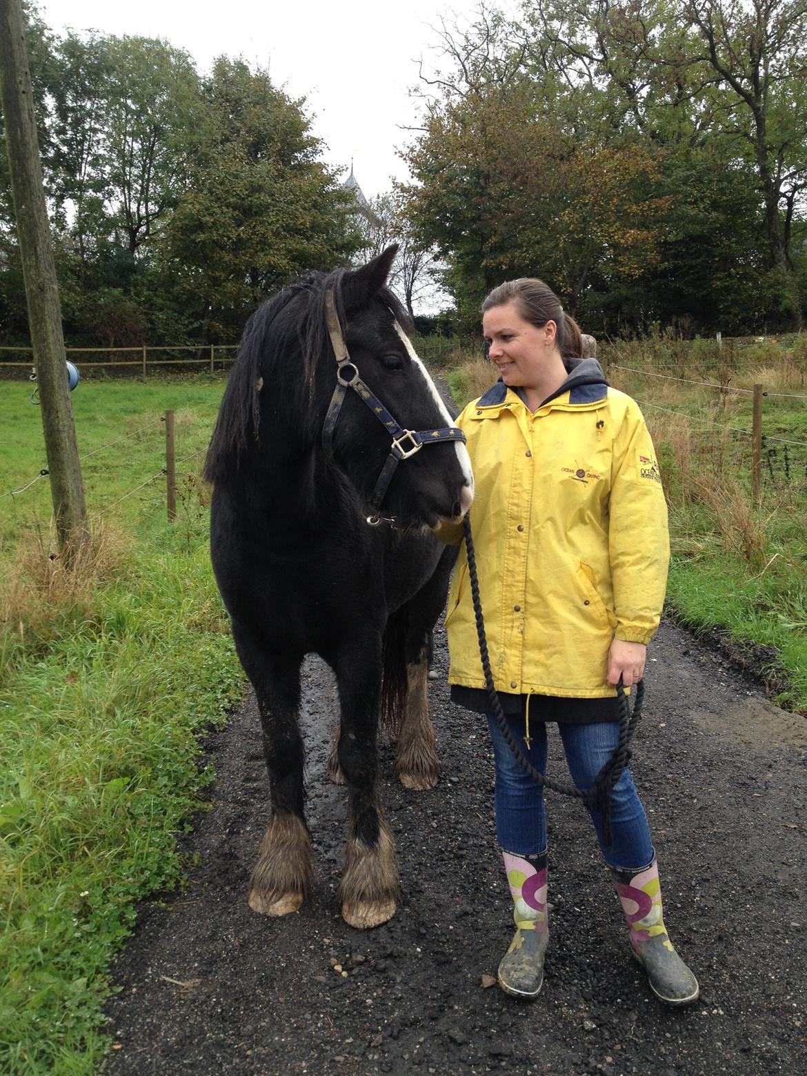 Irish Cob Havens Molly - Dig & Mig Molly <3 billede 8