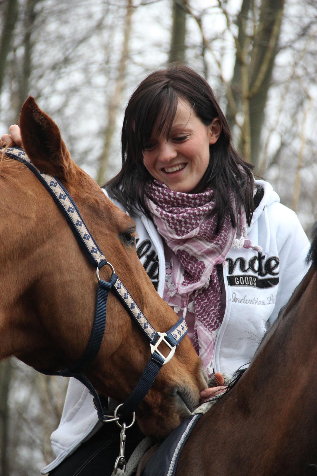 Dansk Varmblod Canton "R.I.P" billede 20