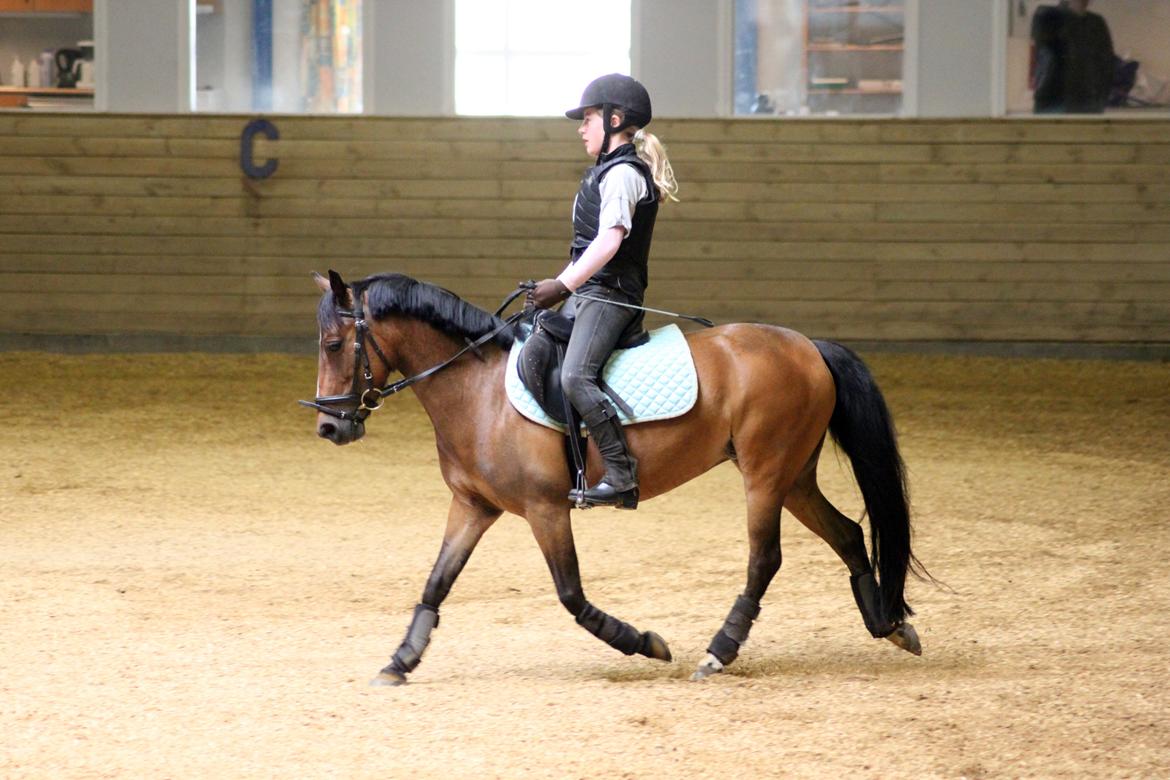 DSP Jasmin - Julie på Bas juni 2012 - Foto: Line Skou billede 1