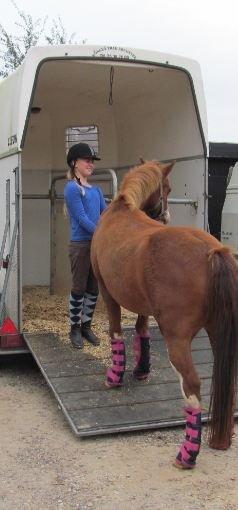 DSP Phønix "Lånepony" billede 12