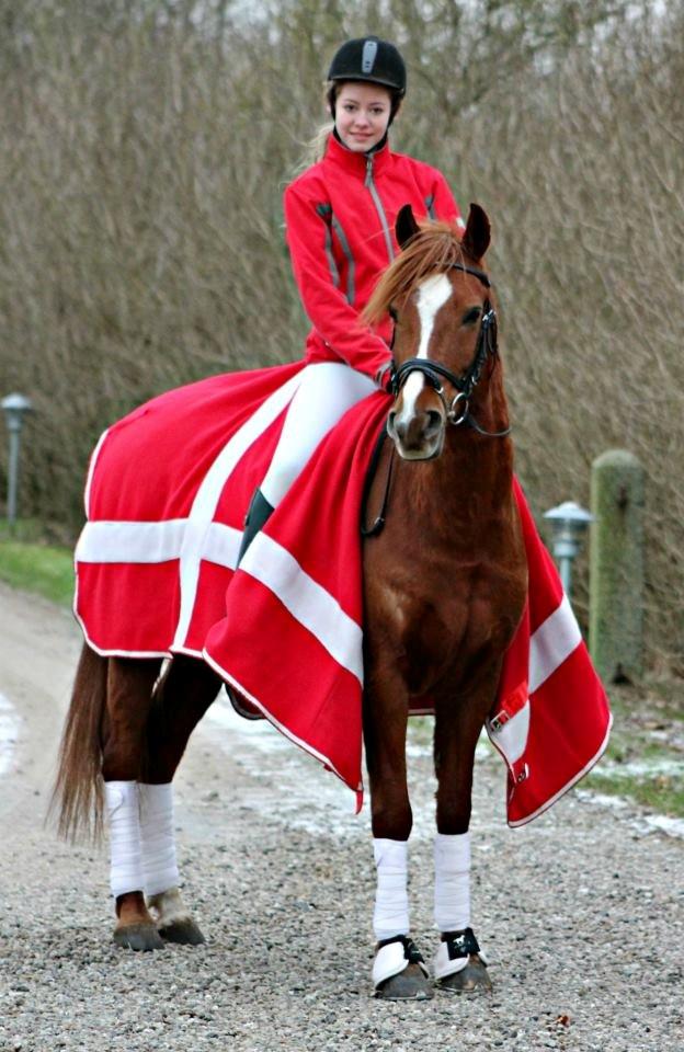 Anden særlig race Mr. Malou billede 1