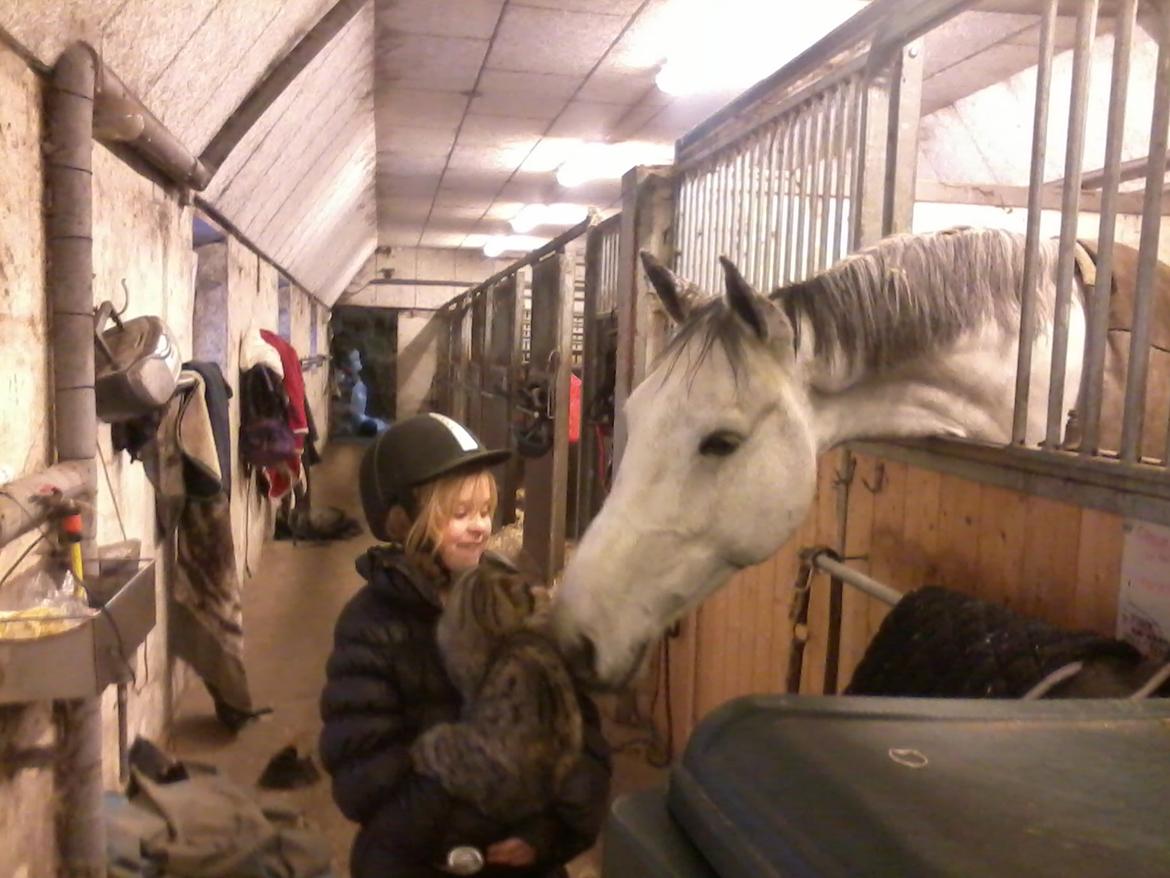 Holstener Cassie - Cassie <3 billede 14