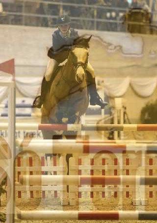 Irsk Sportspony Mr. Nicknack -min nye stjerne- billede 8