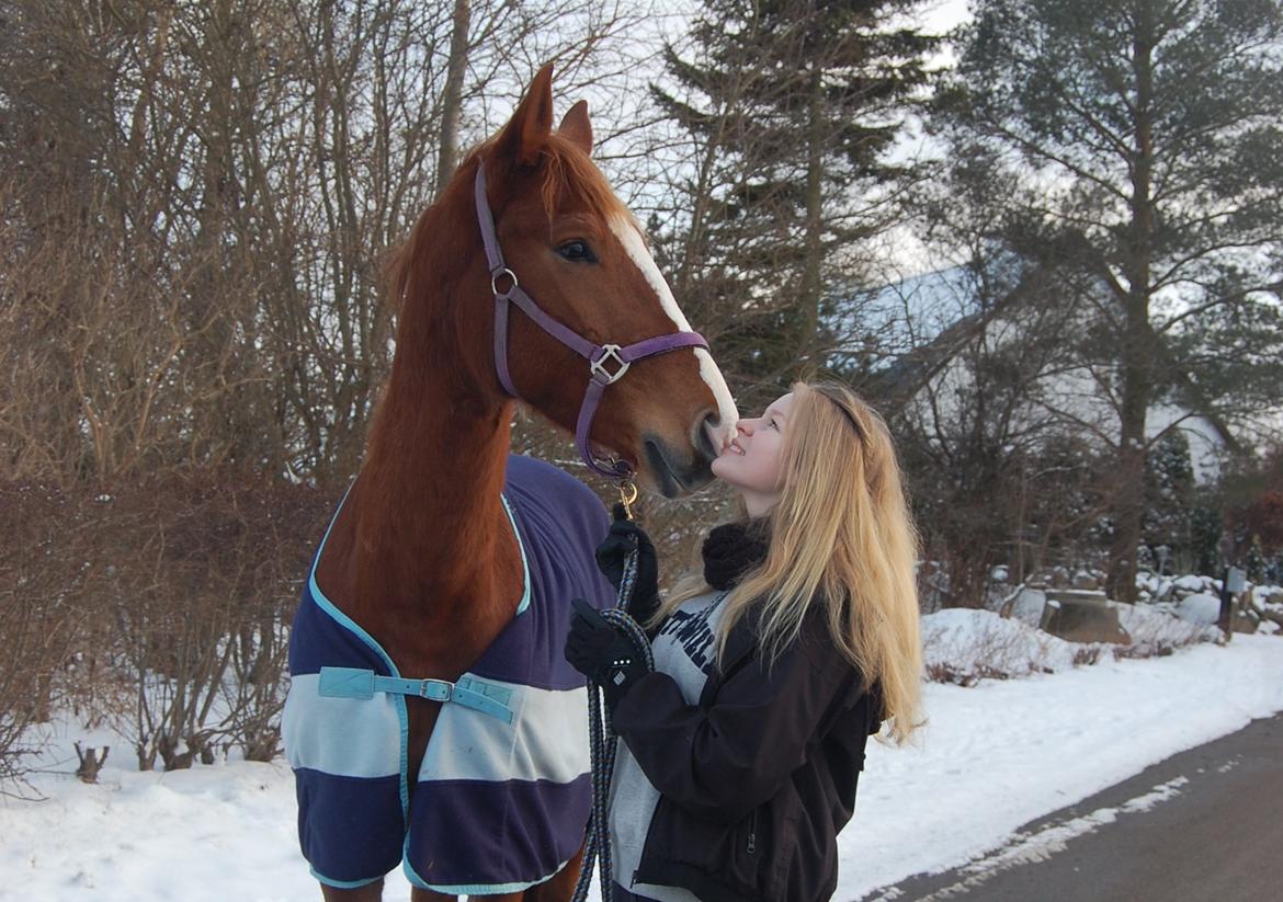 Anden særlig race Champ <3 - Line&Champ - Der kommer et øjeblik i enhver rytters liv, hvor hun overvejer om det er det hele værd. Ét kig på hesten og hun indser - at det er det. billede 5