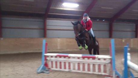 Oldenborg Okholms Caranya billede 20