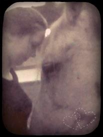 Holstener Melody XII billede 11