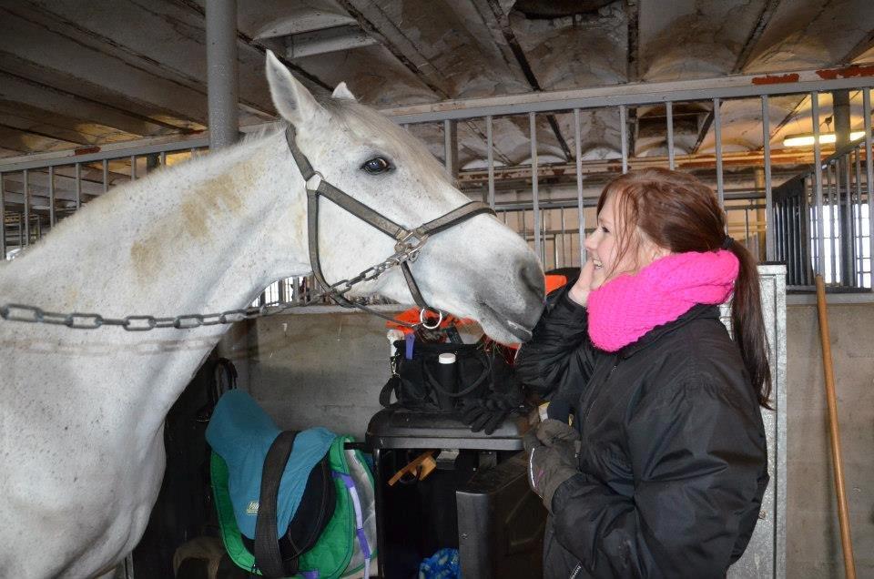 Holstener Melody XII billede 8