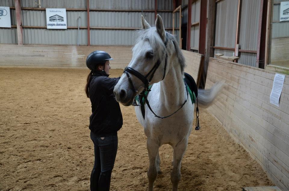 Holstener Melody XII billede 14