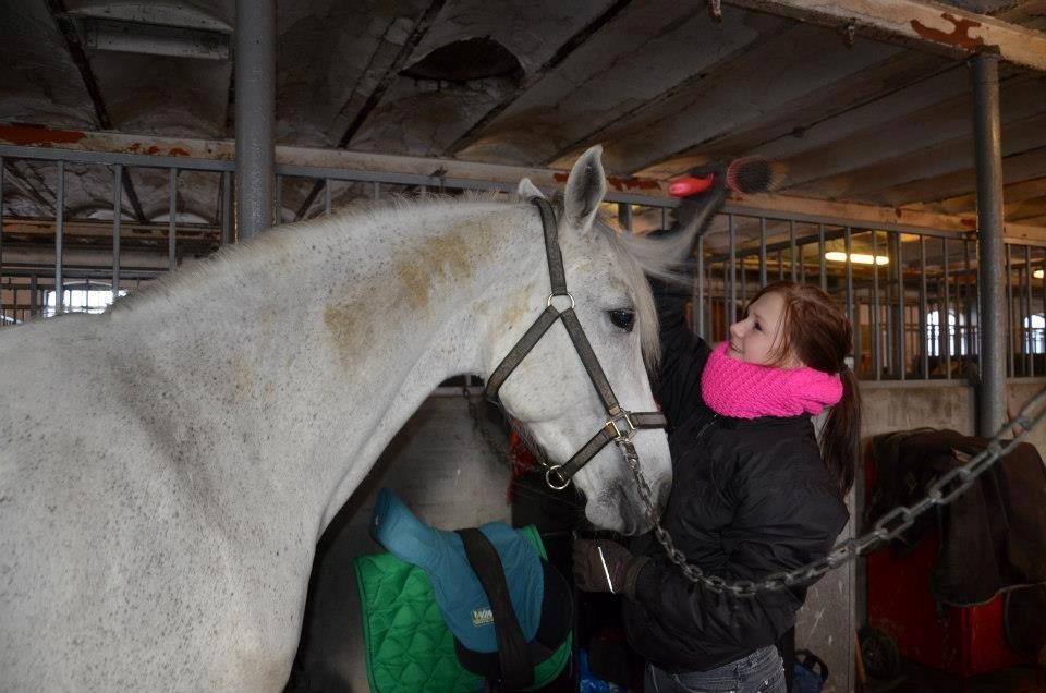 Holstener Melody XII billede 15