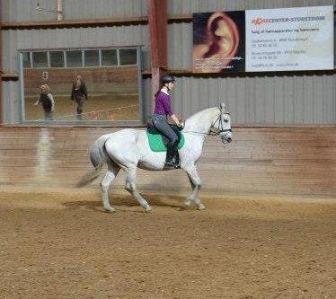 Holstener Melody XII billede 17