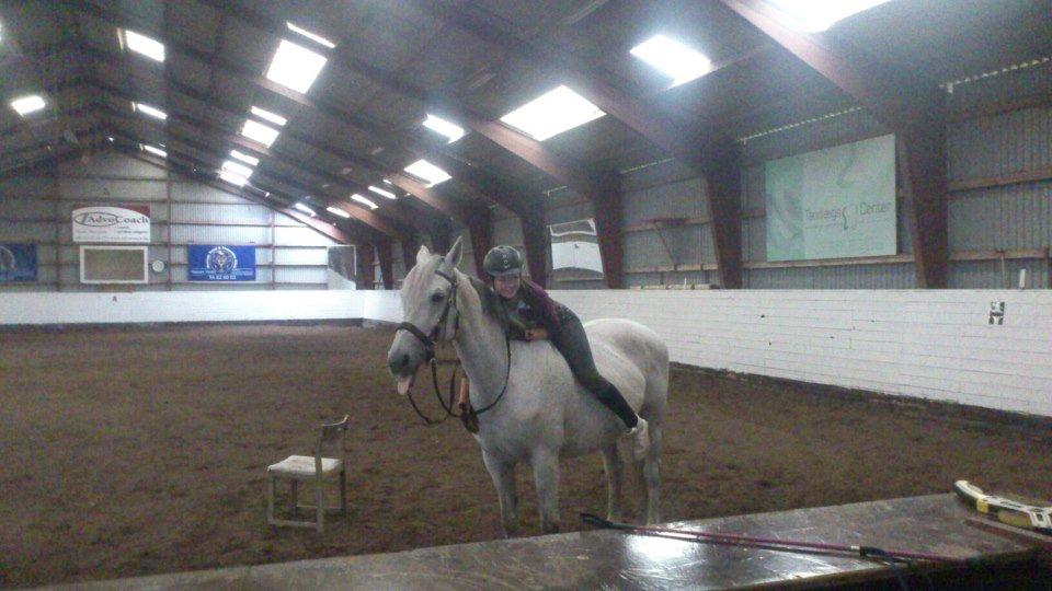 Holstener Melody XII billede 18