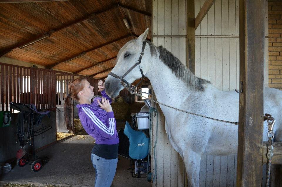 Holstener Melody XII billede 20