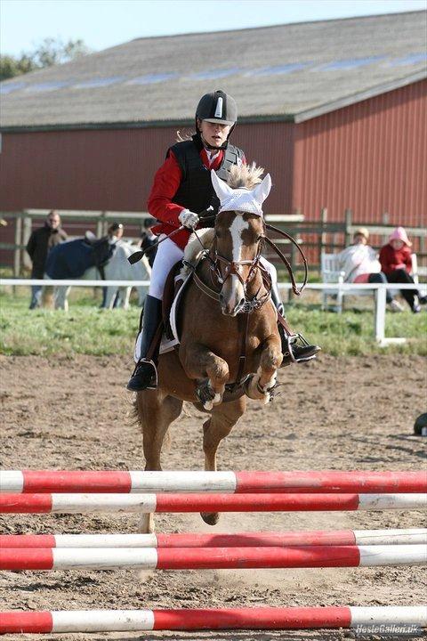 Anden særlig race Deluxe - Farmland cup 
Ørsted 3. plads. billede 1