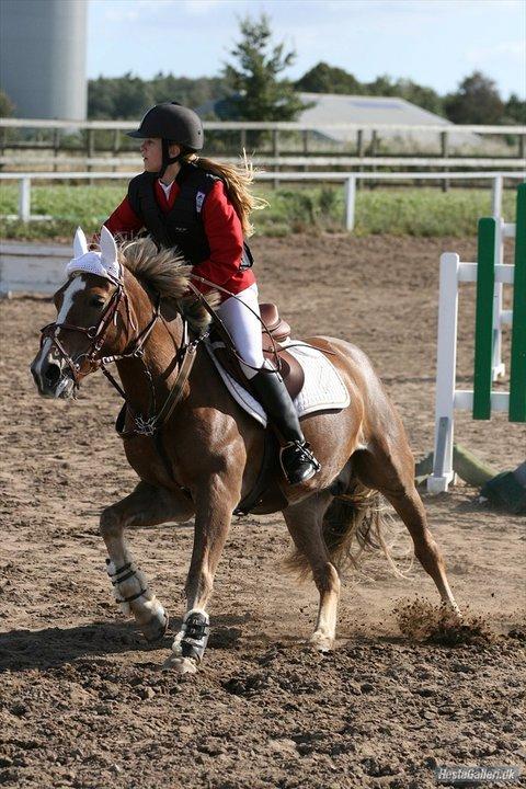 Anden særlig race Deluxe - Farmland cup ørsted 3. plads billede 8