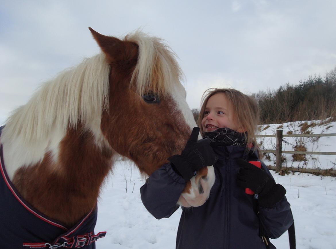 Anden særlig race Mr Mulle *Min soulmate* billede 3