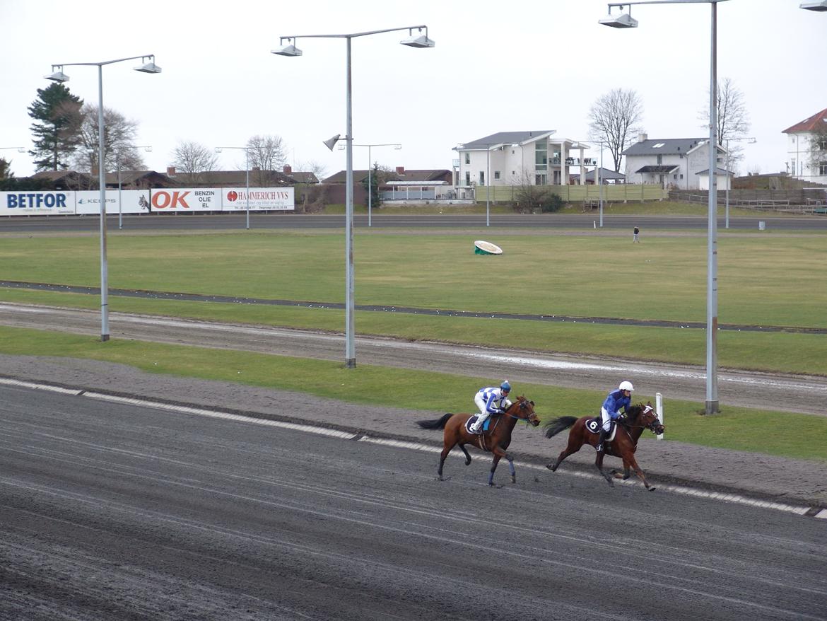 Traver Dupont - Dupont i monte løb 2006 billede 18