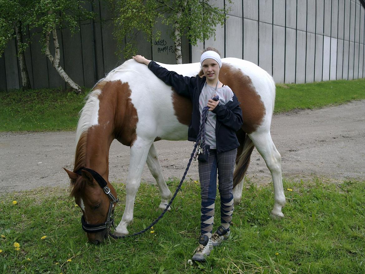 Anden særlig race Kenny billede 3