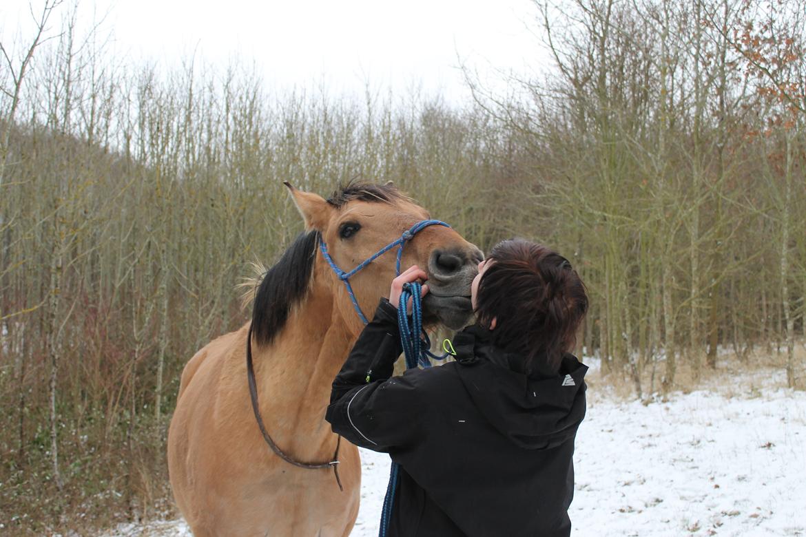 Anden særlig race Gaston *my soulmate*slogt billede 11