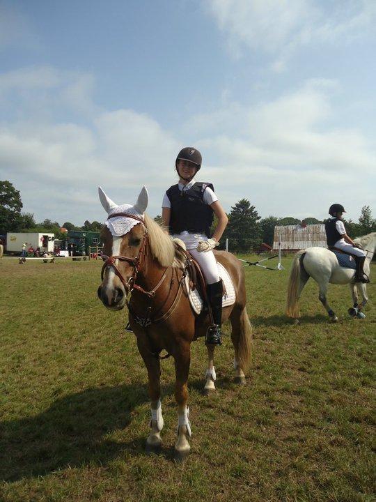 Anden særlig race Deluxe - Mols rideklub 3. plads. billede 13