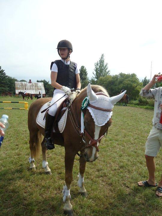 Anden særlig race Deluxe - Mols rideklub 3. plads. billede 14