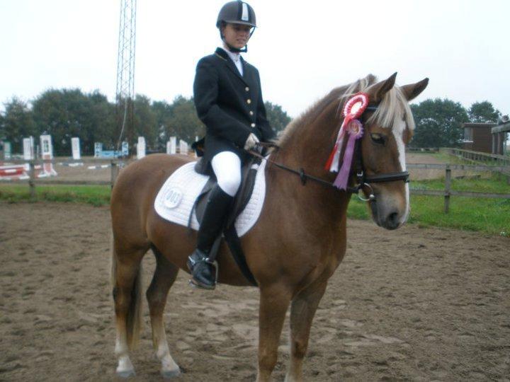 Anden særlig race Deluxe - Første dressur stævne 1. plads LD1 billede 15