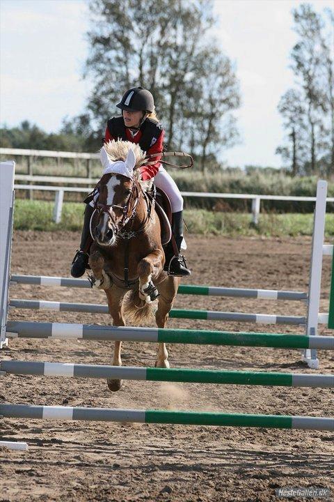 Anden særlig race Deluxe - Farmland cup
Ørsted 3. plads billede 16