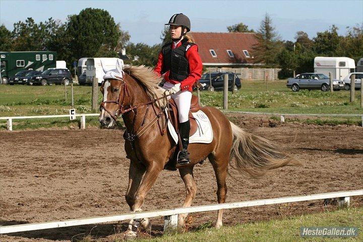 Anden særlig race Deluxe - Farmland cup
Ørsted 3. plads billede 17