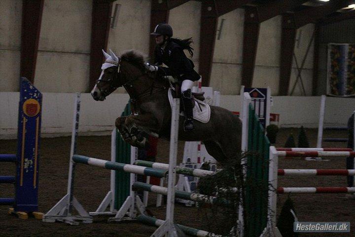 Anden særlig race Deluxe - Lykkeshøj rideklub billede 18