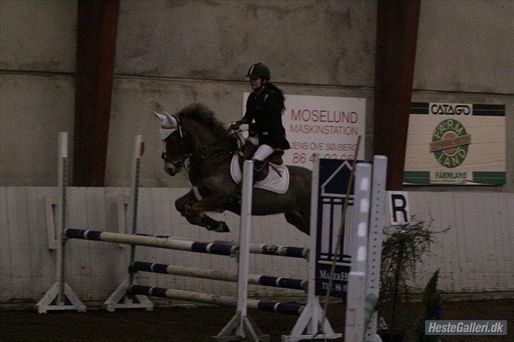 Anden særlig race Deluxe - Lykkeshøj rideklub billede 19
