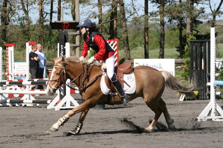 Anden særlig race Deluxe - Distrikt stævne Kallehavegaard.
Placering billede 5