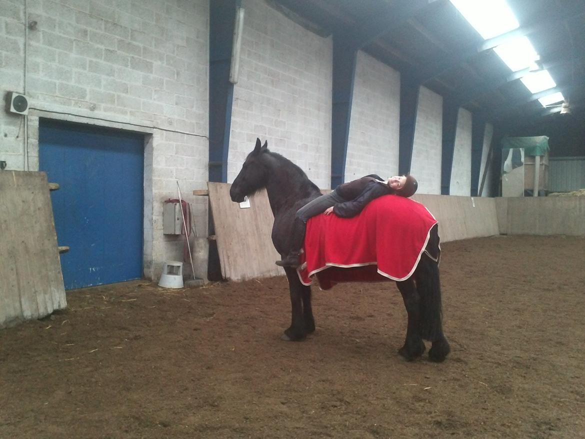 Frieser Jeltsje fra Sonderladegaard(Passer) billede 17