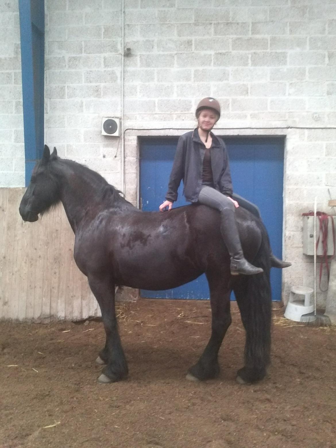 Frieser Jeltsje fra Sonderladegaard(Passer) billede 18