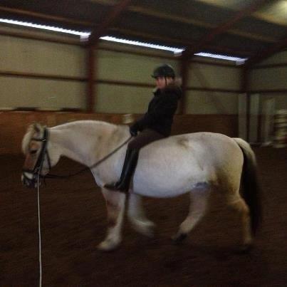 Fjordhest Eja - Mig og Eja rider uden sadel! billede 2