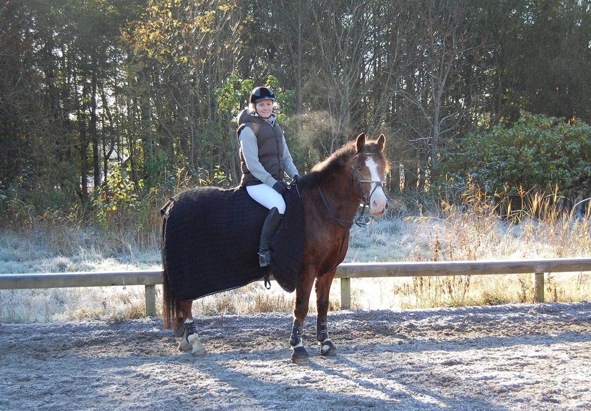 Anden særlig race Allmoust Luksus - Vinter 2012, smukke pony! billede 15