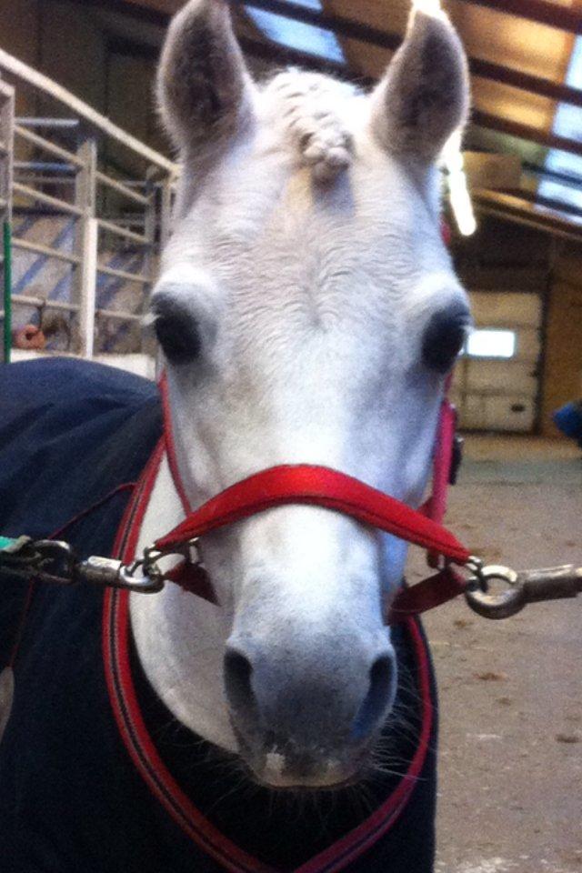 Anden særlig race Frederikke - jeg gøre alt for dig Frederikke, du fortjener alt det bedste billede 2