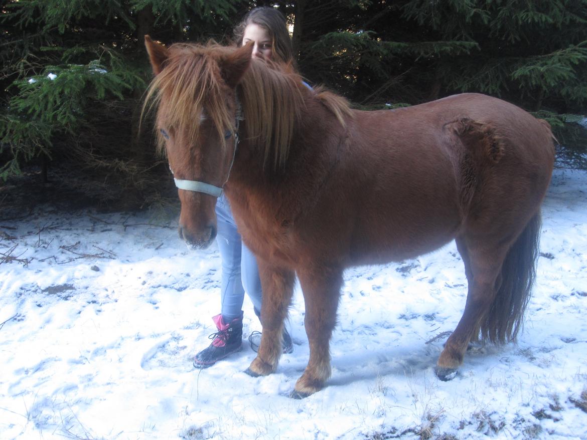 Anden særlig race Molly (SOLGT) <3 - Sne pige<3 billede 4